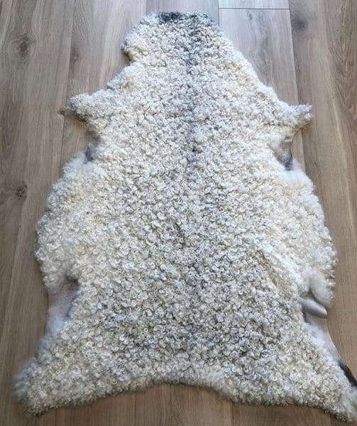 Vaskbart lammeskinn av Norsk Pelssau, lyst og krøllete.
